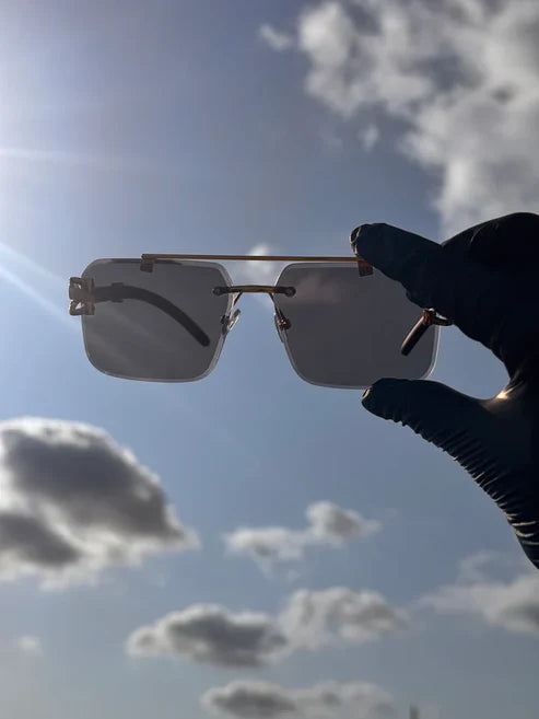 Solar Cheetah Glasses